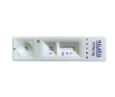Malaria PfPan copy